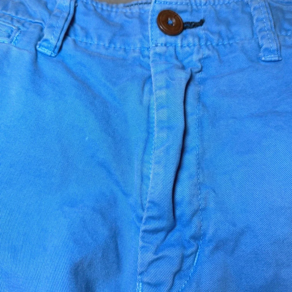 American Eagle Mens Size 34 Blue Chino Shorts Flat Front Casual Vacation Classic